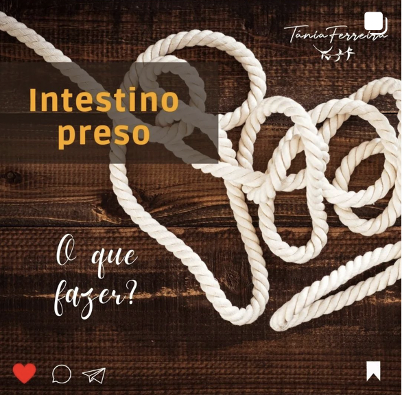 Read more about the article Intestino Preso